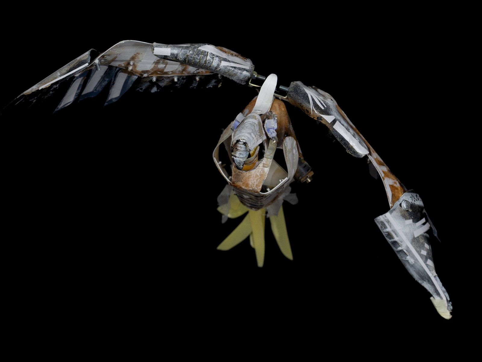 MTM.2018.0156.0302 MTM.2018.0156.0302